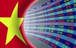 FTSE cập nhập danh sách 23 cổ phiếu có thể lọt rổ chỉ số, nửa tỷ USD dự kiến chảy vào một mã bluechip