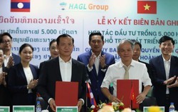 Chính quyền tỉnh Champasak và Bầu Đức ký thỏa thuận phát triển 5.000 ha cà phê, nhắm mục tiêu vùng trồng lớn nhất thế giới