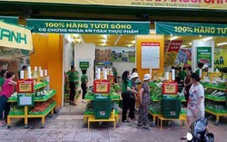 Bách Hóa Xanh lần đầu thu hơn 6.000 tỷ trong 1 tháng