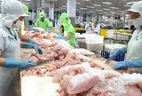 Còn nhiều tiềm năng xuất khẩu các mặt hàng cá tra giá trị gia tăng