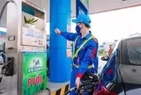 Bộ Công Thương đề xuất triển khai xăng E10 trên toàn quốc từ 30/4