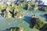 Chính phủ phê duyệt nhiệm vụ lập Quy hoạch bảo tồn, phát huy tiềm năng vịnh Hạ Long