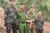 Cháu bé 3 tuổi được tìm thấy một mình trong rừng sau 18 giờ mất tích