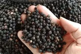 Hồ tiêu Việt Nam củng cố vị thế dẫn đầu thế giới