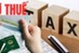 Nhiều cá nhân nợ thuế trên 500 triệu đến 158,9 tỉ đồng