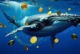 Nóng: Một 'cá voi' Bitcoin vừa thức giấc sau 12 năm, chuyển 500 BTC trị giá hơn 40 triệu USD