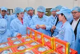 Đoàn Đại biểu cấp cao Viêng Chăn tham quan nhà máy yến sào SANVINEST Khánh Hòa
