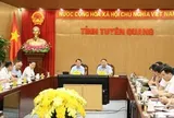 Đại gia Vũ Văn Tiền muốn chi 7.800 tỷ đồng để chăn nuôi lợn, trồng chè