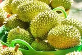 Sầu riêng rớt giá: Lối ra nào cho 'vua' trái cây?