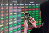 Cổ phiếu dầu khí, phân bón bị “xả hàng” dữ dội, VN-Index mất hơn 15 điểm