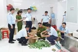 Khám xét khẩn cấp 4 địa điểm, tạm giữ 14 người trong đường dây do Nguyễn Văn Đức 36 tuổi cầm đầu