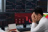 VN-Index mất gần 20 điểm, một cổ phiếu vẫn "tỏa sáng"