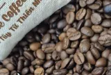Giá cà phê hôm nay 23-5: Robusta tăng tiếp