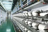 Cổ đông của Sợi Thế Kỷ sắp nhận cổ tức bằng cổ phiếu tỷ lệ 10%