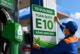 Loạt hãng xe lên tiếng về độ tương thích với xăng E10