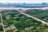 Tin vui: Người có đất nông nghiệp muốn chuyển đổi lên thổ cư thuộc trường hợp này sẽ được giảm 70% tiền sử dụng đất