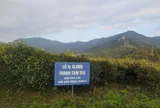 Xây dựng bản đồ số du lịch nông thôn Việt Nam