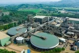 Điều gì khiến MSR khác biệt trong ngành vonfram toàn cầu?