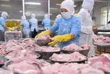 Xuất khẩu tiếp tục bứt phá