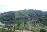 Loạt sai sót tại dự án của Mía đường Lam Sơn sau 10 năm đình trệ