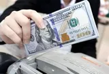 Diễn biến bất ngờ của giá USD trên thị trường tự do