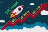VN-Index tăng hơn 90 điểm từ đầu năm, bộ đôi VIC, VHM đóng góp gần 180 điểm