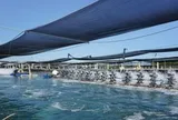 Một mặt hàng của Việt Nam vừa mang về gần 2 tỷ USD: Mỹ, Trung Quốc đua nhau săn lùng, nước ta sở hữu công nghệ hàng đầu thế giới