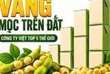 Được GS.TS Trần Đình Long ví như “vàng mọc trên đất”, loài cây này giúp một doanh nghiệp Việt vào Top 5 thế giới, doanh thu hơn 4.100 tỷ đồng/năm