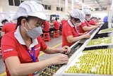 Doanh nghiệp nhỏ 'mắc kẹt' giữa áp lực chuyển đổi xanh