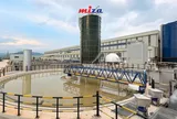 Ai đứng sau Miza - doanh nghiệp vừa niêm yết trên sàn HoSE?