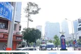 Sau sáp nhập, TPHCM có 782 tuyến đường bị trùng tên, trùng số