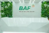 Baf Việt Nam sắp chào bán hơn 40 triệu cổ phiếu