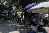 Vi phạm trật tự đô thị “di cư” vào ngõ ngách