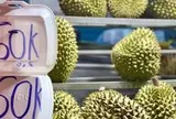 Xuất khẩu sầu riêng tốt, vì sao giá trong nước lại rẻ?