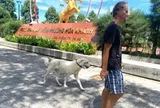 Áp dụng phạt chủ thả chó không rọ mõm: ‘Đụng tới cái ví là sợ liền’