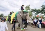 Voi rước 'Nữ hoàng sầu riêng' giữa lễ hội ở Đắk Lắk