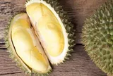 Sầu riêng đắt nhất thế giới 1,2 tỷ đồng/quả có gì đặc biệt?