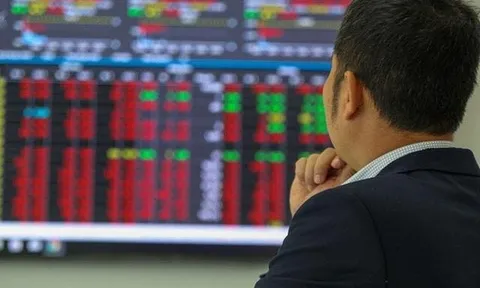 Góc nhìn chuyên gia: VN-Index có thể lùi xuống dưới 1.600 điểm, cơ hội cho một số nhóm cổ phiếu đón "chu kỳ mới"
