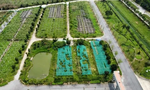 Hà Nội giao hơn 17ha đất để xây nhà liền kề và nhà ở xã hội