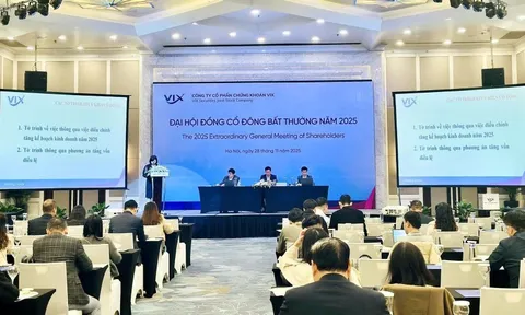 Chứng khoán VIX: Tăng vốn lên 24,5 nghìn tỷ đồng, lợi nhuận gấp 4 lần