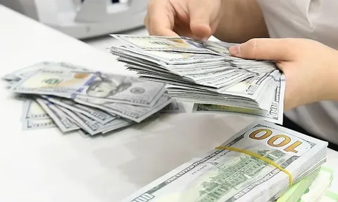 Dự báo mới nhất về giá USD tại Việt Nam năm 2026