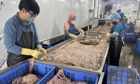 Hơn 60 tấn lòng heo hôi thối, chuyển màu nằm trong kho lạnh