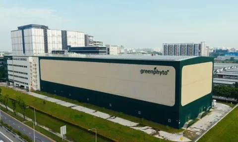 Không phải Trung Quốc hay Nhật Bản, một quốc gia châu Á làm trang trại trong nhà cao nhất thế giới: Có thể chứa 1,2 triệu cây rau, sản lượng 2.000 tấn mỗi năm