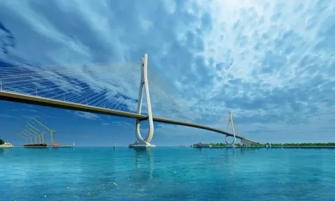 CC1 báo doanh thu hơn 11.600 tỷ đồng năm 2025, tăng 21% so với năm trước