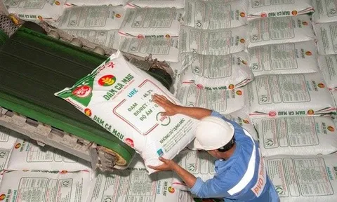 Đạm Cà Mau chốt ngày tham dự ĐHĐCĐ thường niên năm 2026