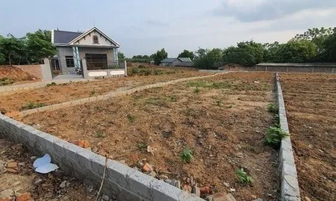 Hơn 90m2 đất vườn không gắn liền đất ở khi chuyển sang thổ cư người dân đóng thuế 100% hay được giảm theo Nghị quyết mới?