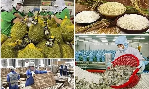 Xuất khẩu nông, lâm, thủy sản tháng 1 tăng gần 30%