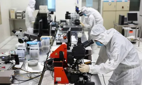 Hành lang pháp lý đã mở, vì sao nhà khoa học vẫn chưa dám bước ra khỏi 'vùng an toàn'?