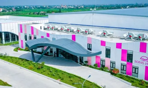 Lãnh đạo May Sông Hồng không mua hết 1,2 triệu cổ phiếu MSH như đăng ký