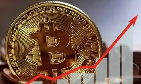 Thị trường tiền số hôm nay, 7-2: Hé lộ "ông lớn" âm thầm gom Bitcoin giữa lúc giá lao dốc
